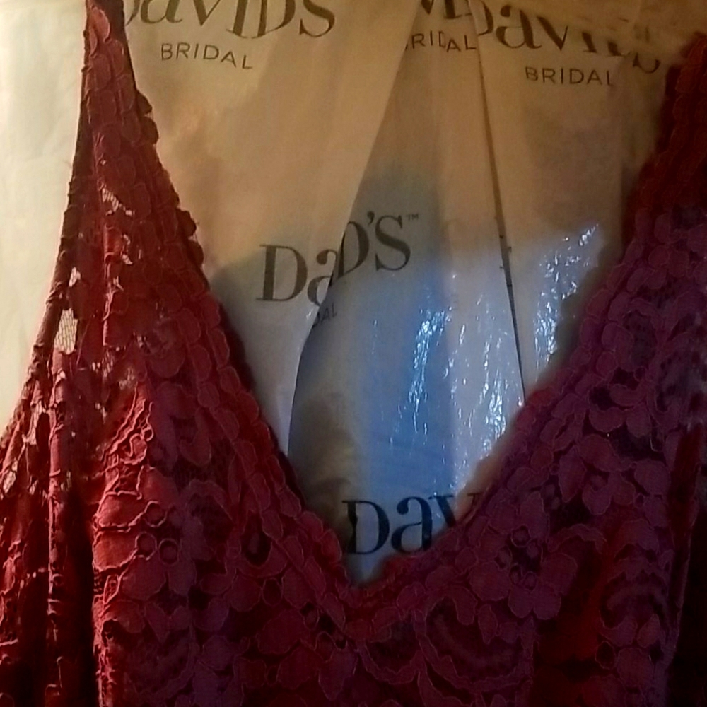 David's bridal Chianti bridesmaid dress sz 20